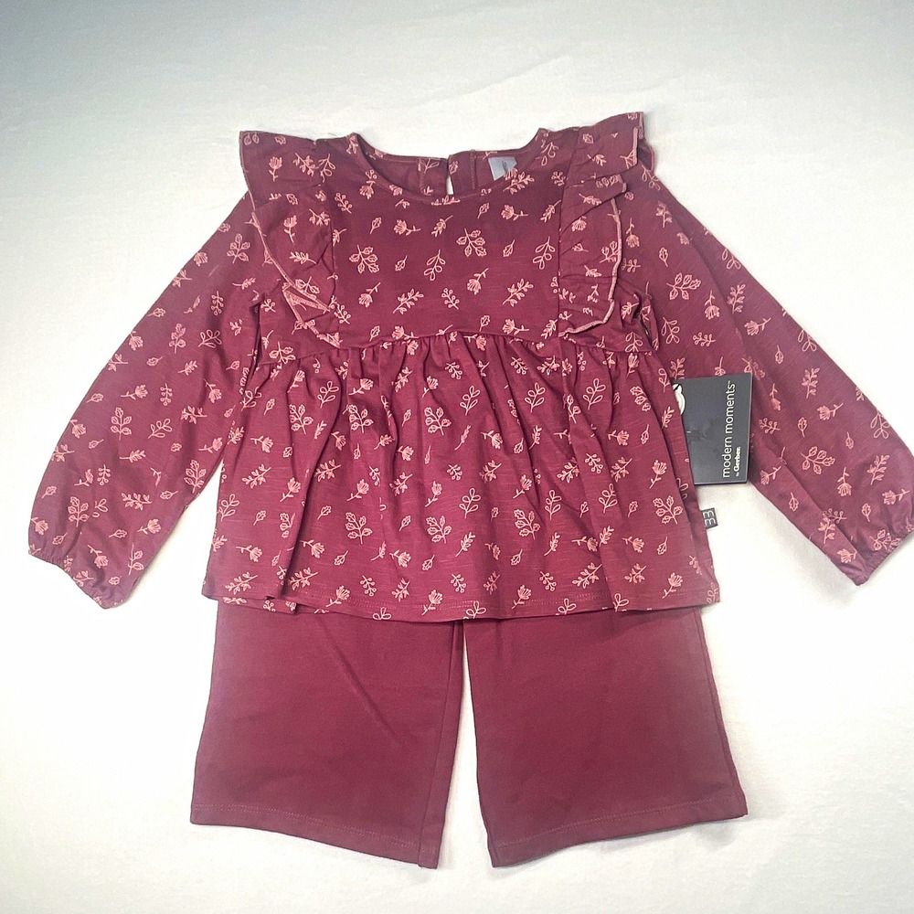 Modern Moments by Gerber Girls 2pc Outfit Set 3T Purple Floral Ruffle LS